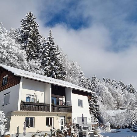 טרפן Ferienhaus Burgblick מראה חיצוני תמונה