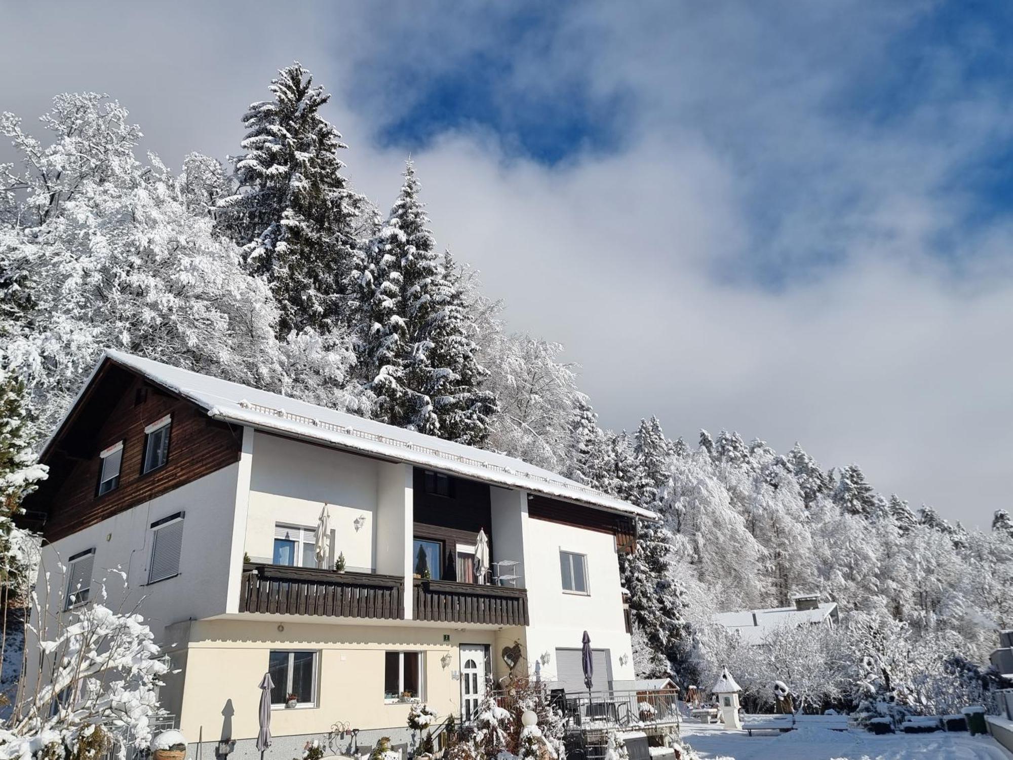 טרפן Ferienhaus Burgblick מראה חיצוני תמונה