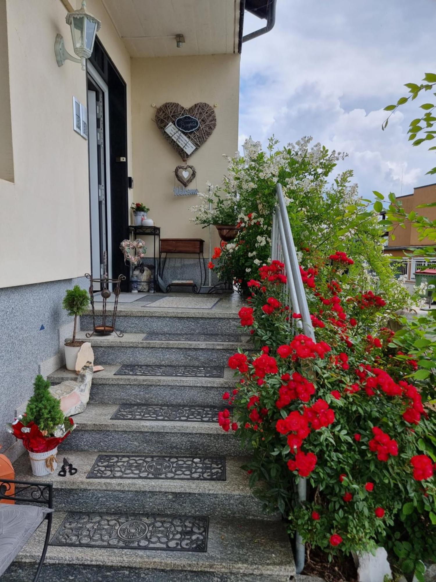טרפן Ferienhaus Burgblick מראה חיצוני תמונה